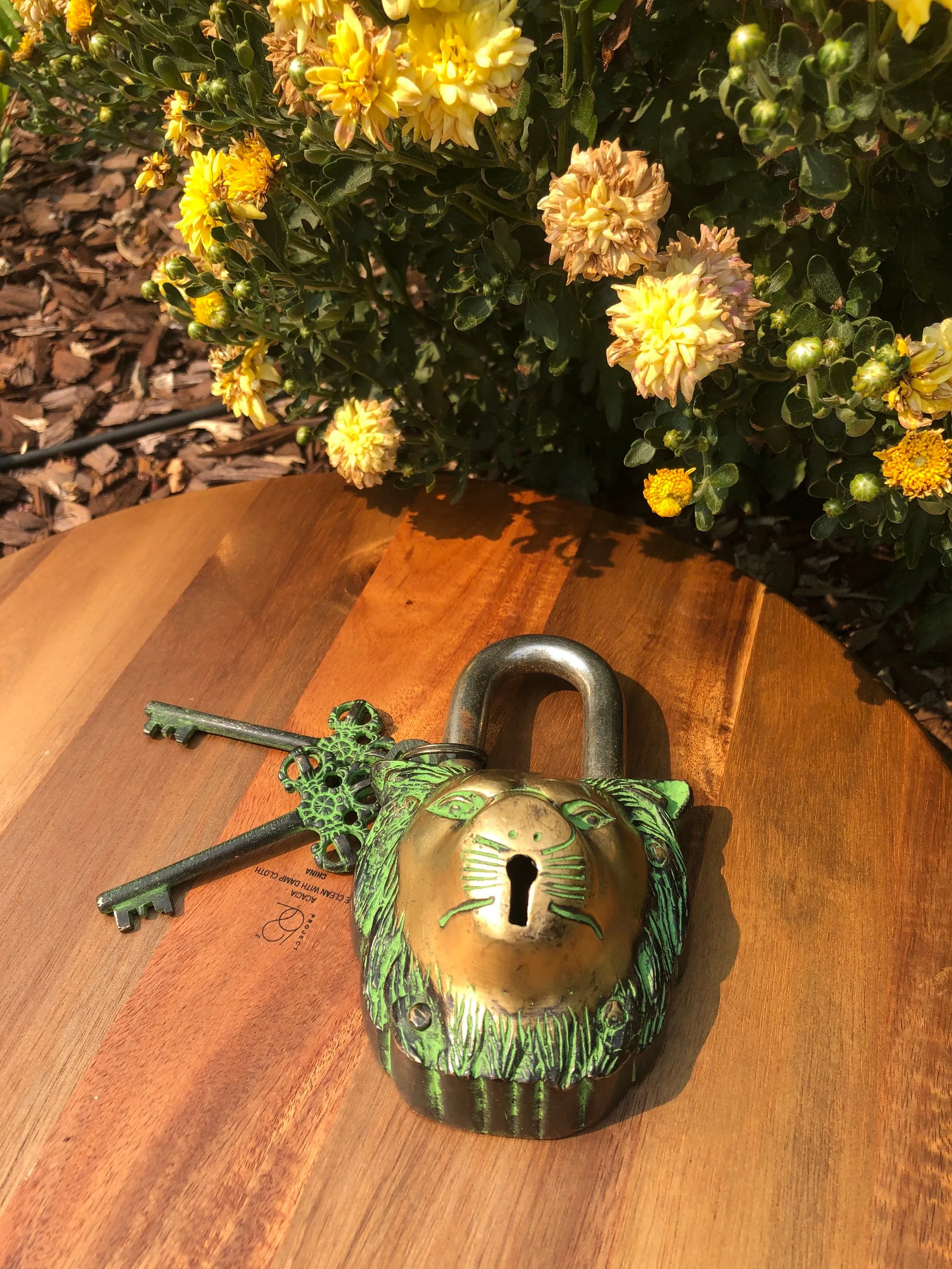 Lion Unique Brass Vintage Padlock Temple Lock