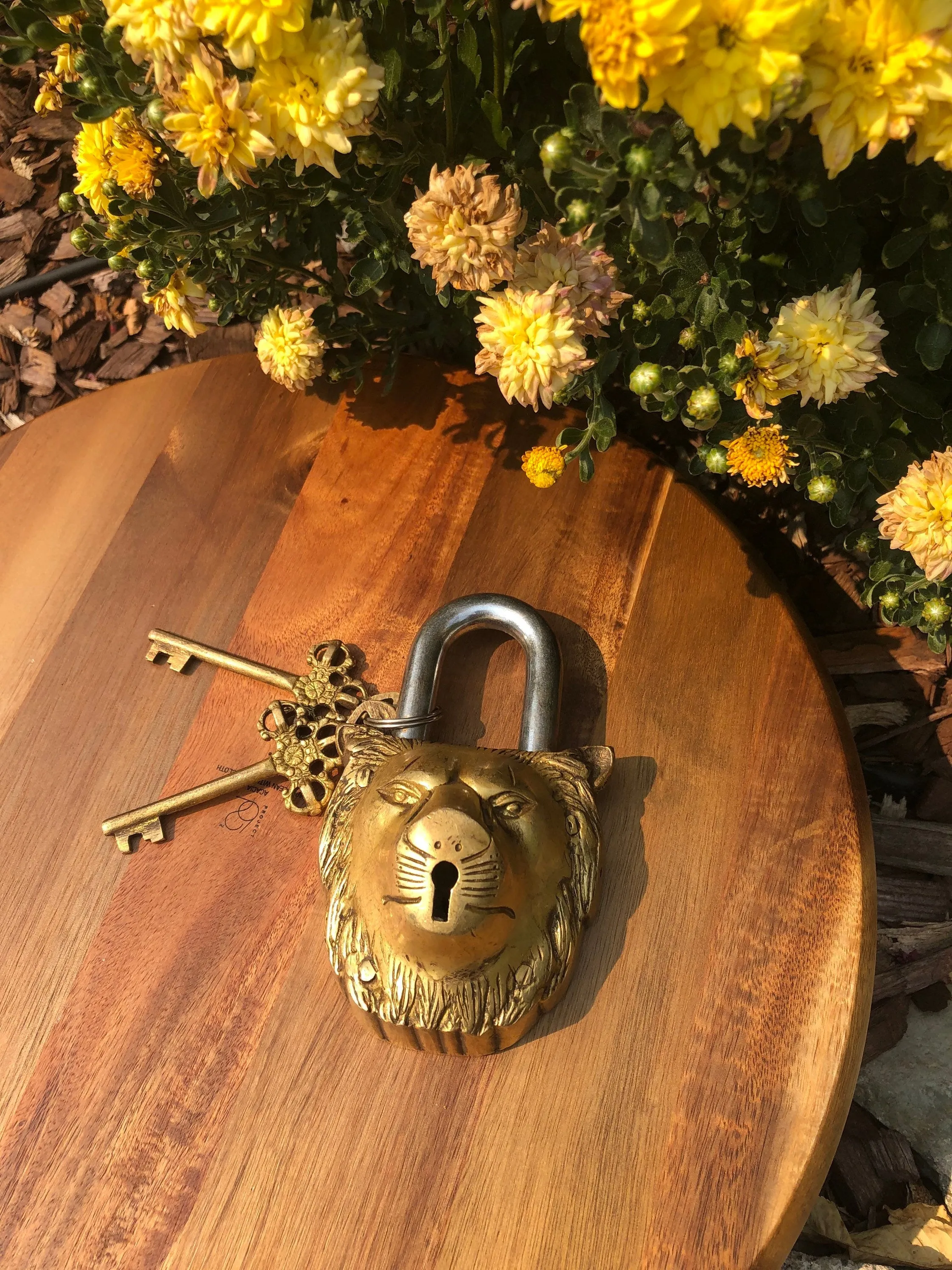 Lion Unique Brass Vintage Padlock Temple Lock