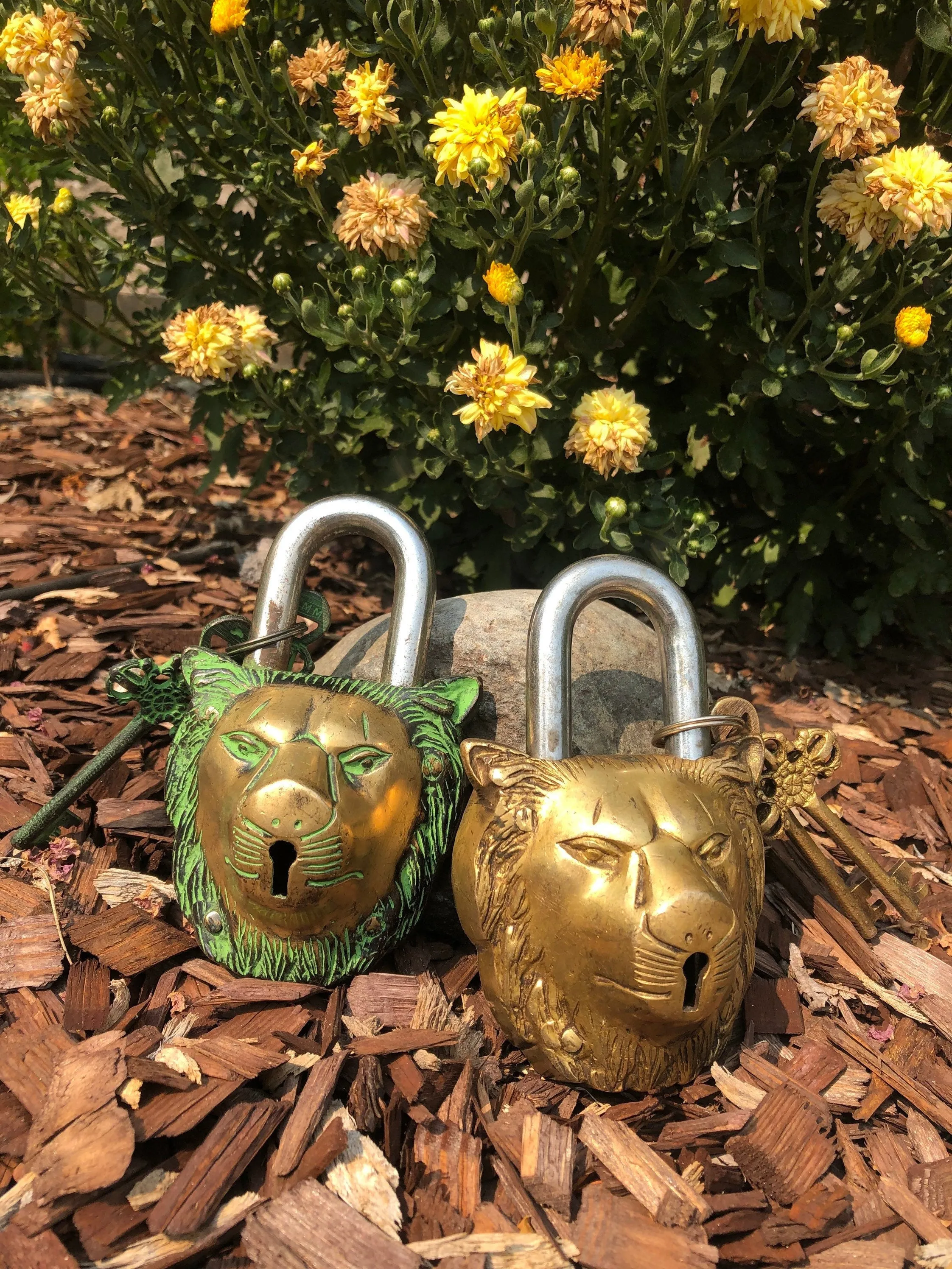 Lion Unique Brass Vintage Padlock Temple Lock